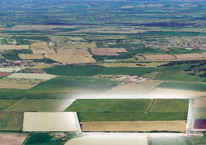 Construcción de camino en zona de inundación con geomalla compuesta Combigrid