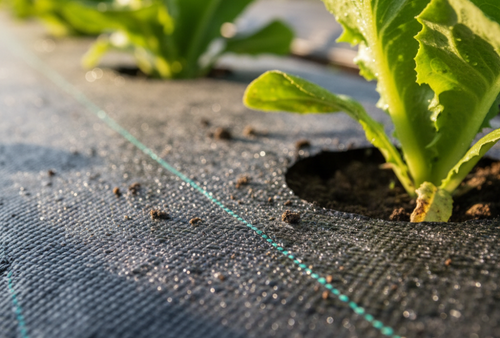 malla antimaleza ground cover para cultivos de berries, hortalizas entre otros