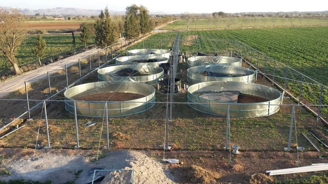 Dispensador Eléctrico De Alimentos Para Peces De 6L