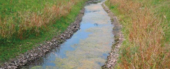 4-_Datei 00775_ES_Case_Study_Erosion_control_in_a_drainage_channel_with_Secumat_Heidlandgraben_Hamburg_-16