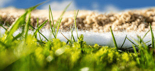 Secutex green: El nuevo geotextil de Naue amigable con el medio ambiente